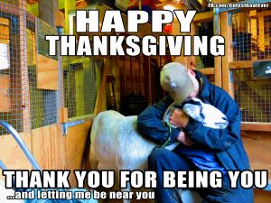 171123_miame_meme_happythanksgivingthankyouforbeingyou.jpg