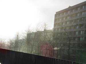 171130_fog10.jpg