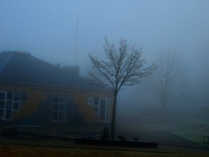 171130_fog11.jpg