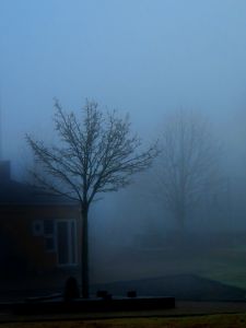 171130_fog3.jpg