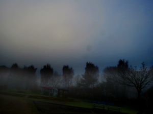 171130_fog4.jpg