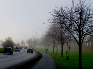 171130_fog7.jpg