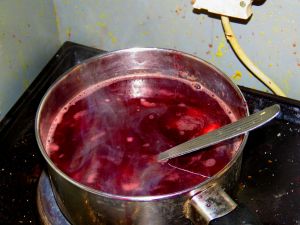 180307_elderberrysoup.jpg