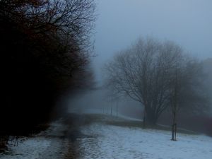 180312_fog2.jpg