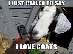 180503_150818_mia_meme_ijustcalledtosayilovegoats.jpg