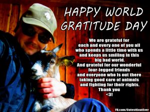 180921_180827_skyme_meme_worldgratitudeday.jpg