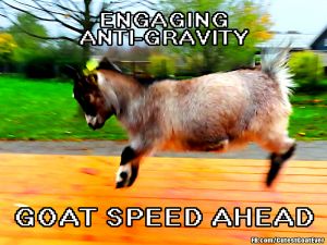 181203_181105_sky_meme_engagingantigravitygoatspeedahead.jpg