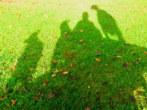 191025_shadows1.jpg