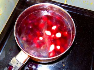 200922_elderberrysoup.jpg