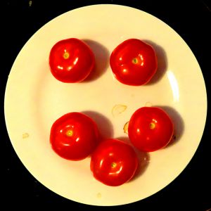 210510_tomatoes.jpg