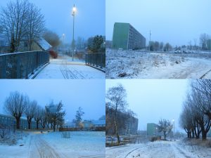 250123_snow.jpg