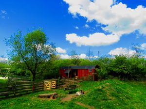 250505_sky2.jpg