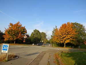 131008_autumnroad6.jpg