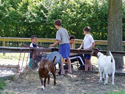 050712_kidsgoats.jpg