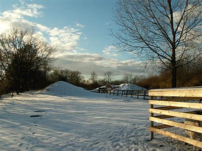 scenic snowscape