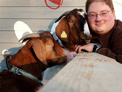 goats are great