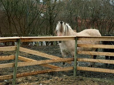 broken fence