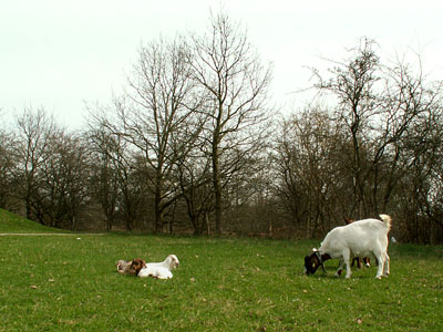 Mathilde and her kids