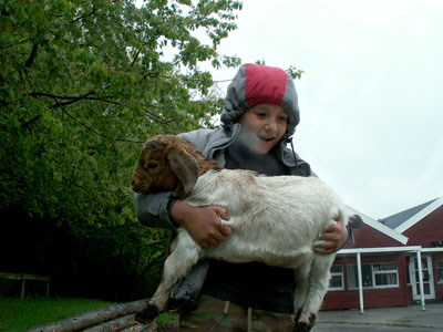 boy holding goat