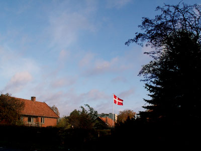 danish flag