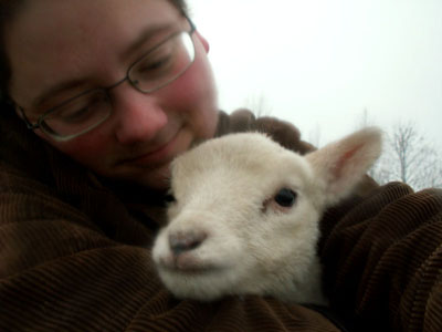 holding lamb