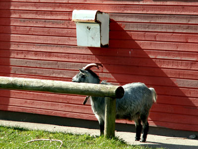 mads mailbox