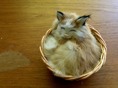 kittybasket