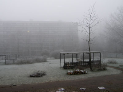 frost