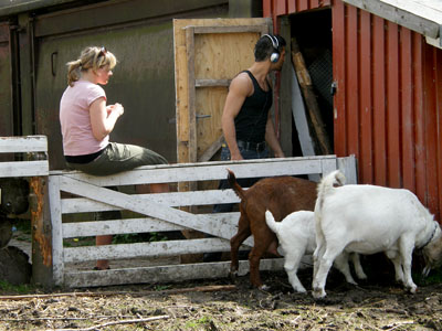 margitreda